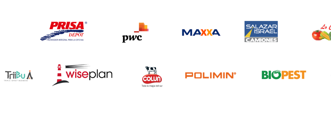 Empresas con propósito: alianzas que generan impacto social junto a Fundación Camino durante 2025